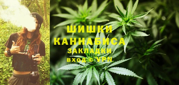 кокс Дмитриев