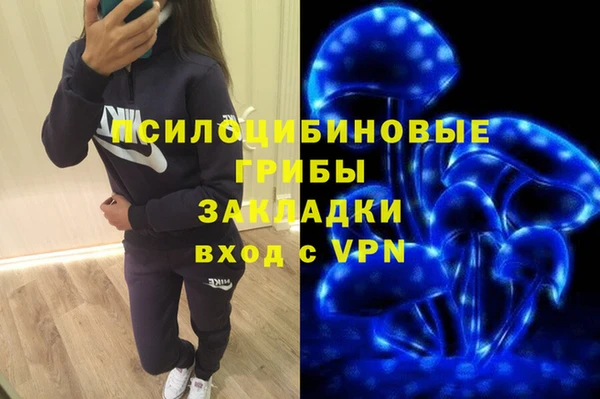 кокс Дмитриев
