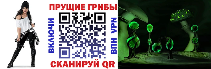 купить   Троицк  Псилоцибиновые грибы Magic Shrooms 